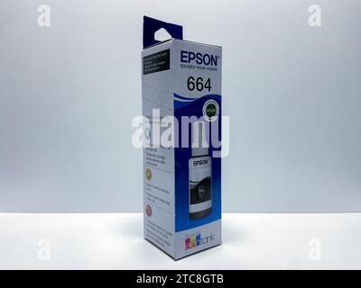 Inchiostro Epson nero, Epson Ink 664 Code per Epson L310. un set di inchiostri epson geuini con sfondo isolato. Foto Stock