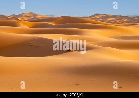 Dune di sabbia battute dal vento di Erg Chebbi nel deserto del Sahara vicino a Merzouga, Drâa-Tafilalet, Errachidia, Marocco Foto Stock