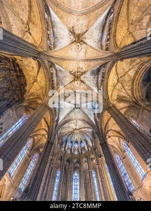 Soffitto interno della storica cattedrale di Barcellona in Spagna Foto Stock