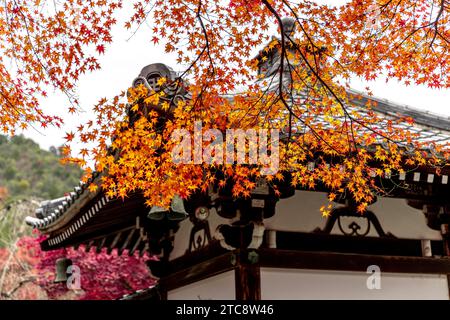 Foglie di acero giapponesi in un giardino templare a kyoto Foto Stock