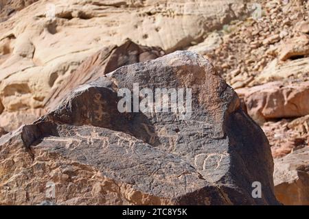 Petroglifi a Umm Sinman Mountain vicino a Jubbah in Arabia Saudita Foto Stock