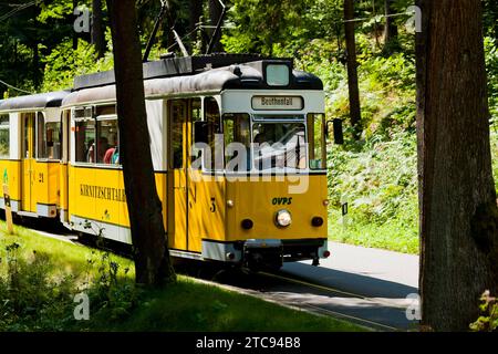 La Kirnitzschtalbahn è una tranvia interurbana della Svizzera sassone in Sassonia. La ferrovia a scartamento ridotto corre da Bad Schandau attraverso il Foto Stock