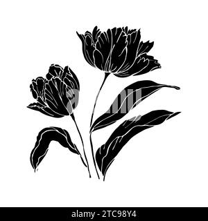 Fiori di tulipani con foglie, illustrazione vettoriale disegnata a mano isolare l'illustrazione Illustrazione Vettoriale
