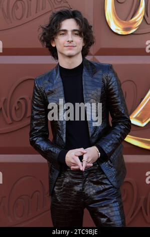 Timothee Chalamet bei der Premiere des Kinofilms Wonka im Regency Village Theatre. Los Angeles, 10.12.2023 *** Timothee Chalamet alla prima del film Wonka al Regency Village Theatre Los Angeles, 10 12 2023 foto:xD.xBedrosianx/xFuturexImagex wonka 3318 Credit: Imago/Alamy Live News Foto Stock