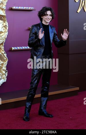 Timothee Chalamet bei der Premiere des Kinofilms Wonka im Regency Village Theatre. Los Angeles, 10.12.2023 *** Timothee Chalamet alla prima del film Wonka al Regency Village Theatre Los Angeles, 10 12 2023 foto:xD.xBedrosianx/xFuturexImagex wonka 3310 Credit: Imago/Alamy Live News Foto Stock