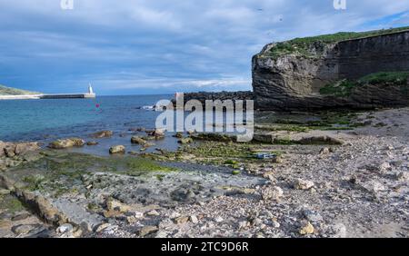 Costa rocciosa con pietre coperte di muschio sotto un cielo blu con nuvole, vicino al mare con un faro in lontananza. Foto Stock