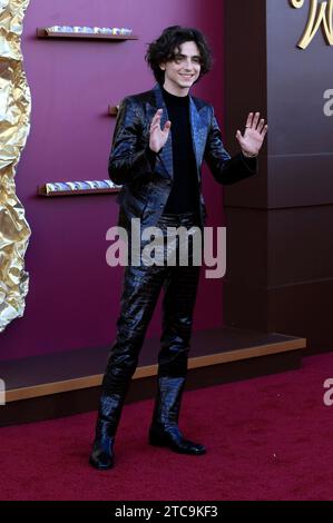 Timothee Chalamet bei der Premiere des Kinofilms 'Wonka' im Regency Village Theatre. Los Angeles, 10.12.2023 Foto Stock