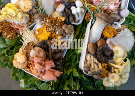 Diversi tipi di funghi in vendita al banco di Borough Market Foto Stock