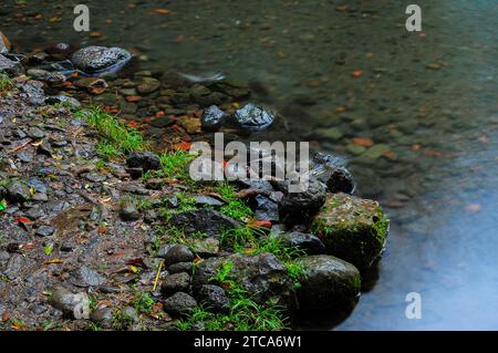 rocce ricoperte di muschio sul bordo di un lago poco profondo Foto Stock