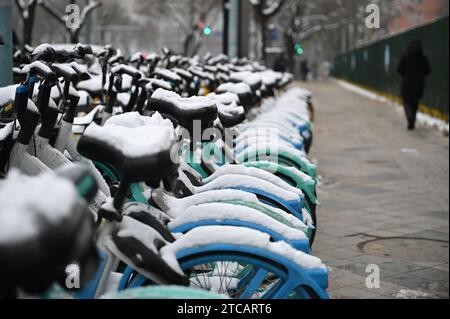 Pechino, Cina. 12 dicembre 2023. Le biciclette a noleggio coperte da neve di diversi fornitori sono parcheggiate su un marciapiede. Molte persone a Pechino usano le biciclette a noleggio per andare al lavoro la mattina. I lavoratori con piccoli carrelli di trasporto di solito raccolgono le biciclette in seguito e le restituiscono a importanti centri di trasporto come le stazioni della metropolitana. Un giro in bicicletta a noleggio costa appena 1,5 yuan (circa 0,19 euro). Credito: Johannes Neudecker/dpa/Alamy Live News Foto Stock