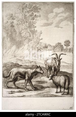 Wenceslas Hollar - il lupo e l'agnello (Stato 2). Foto Stock