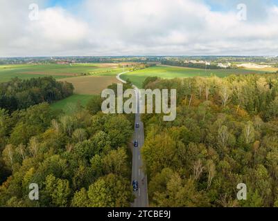 Strada tortuosa attraverso la foresta autunnale Foto Stock