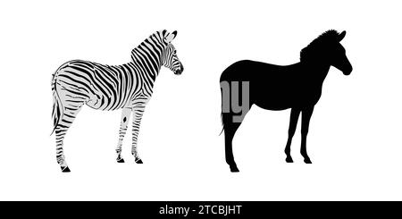 Silhouette zebra disegnata a mano Illustrazione Vettoriale