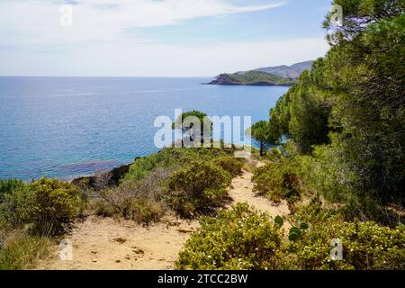 Port-Vendres sulla costa mediterranea nel mare francese meridionale Pirenei Orientales in Linguadoca-Rossiglione Francia Foto Stock