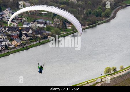 Flying parapendio sopra la valle del fiume Mosella e sui vigneti Foto Stock