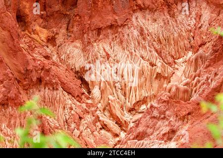 Formazioni di arenaria rossa e aghi (Tsingys) nel Parco di Tsingy Rouge in Madagascar Foto Stock