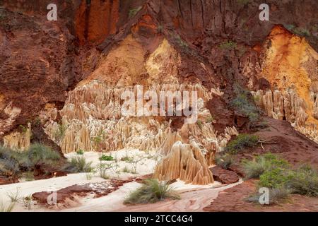 Formazioni di arenaria rossa e aghi (Tsingys) nel Parco di Tsingy Rouge in Madagascar Foto Stock