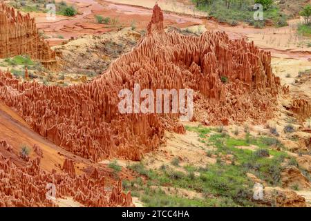 Formazioni di arenaria rossa e aghi (Tsingys) nel Parco di Tsingy Rouge in Madagascar Foto Stock