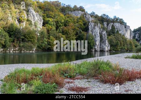 Valle del Danubio presso il fiume Danubio sfondamento vicino a Kelheim, Baviera, Germania in autunno con banco di ghiaia e piante con foglie rosse in primo piano e.. Foto Stock
