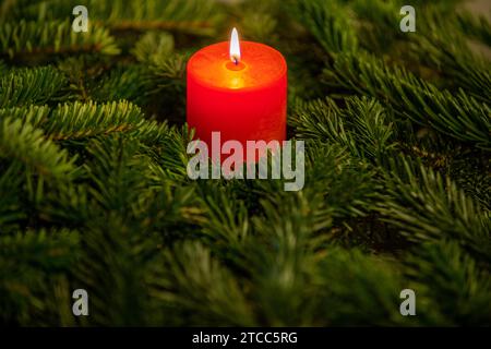 Motivo di natale, sfondo rosso con candela che brucia circondato da Nordmann abete rami Foto Stock