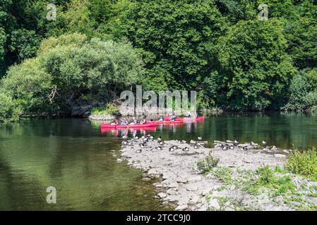 Hattingen, Germania - 24 luglio 2022: Kayak e canoa sul fiume Ruhr a Hattingen, nella Renania settentrionale-Vestfalia, Germania. Le anatre selvatiche sono sedute Foto Stock