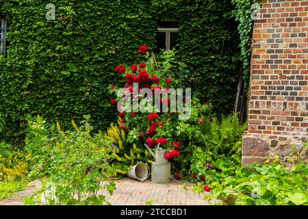 DEU Saxony Klosterbuch Buch Monastery is a former Cistercian monastery founded as St. Mary's Monastery in the 12th century. After the Reformation, it Stock Photo