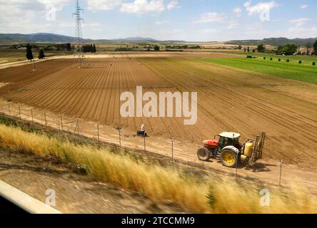 Alicante 08/11/2014 Agricoltura. Foto Juan Carlos Soler archdc. Crediti: Album / Archivo ABC / Juan Carlos Soler Foto Stock