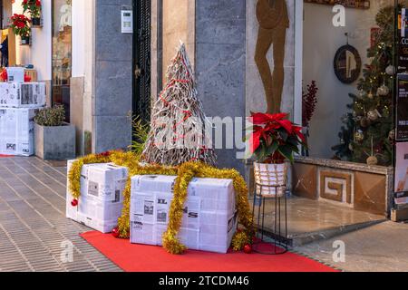 Felanitx, Spagna; 10 dicembre 2023: Primo piano delle piante natalizie, Euphorbia pulcherrima, decorare le strade della città di Felanitx, Spai Foto Stock