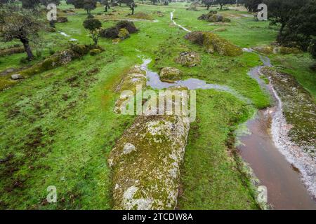 Una vista aerea di un tranquillo torrente che scorre attraverso la Dehesa de la Luz in Estremadura, Spagna Foto Stock