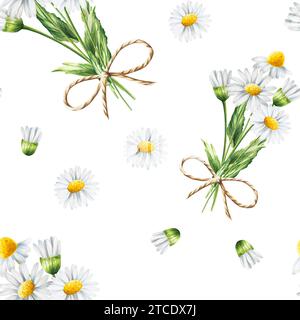 Motivo ad acquerello senza cuciture con illustrazione di fiori a margherita bianchi isolati su sfondo bianco. Camomilla. Dettaglio dei prodotti di bellezza e del set di botanica, c Foto Stock