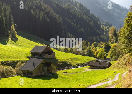 Villaggio rurale con fattorie alpine, comune di Brandberg, Valle Zillergrund, Alpi dello Zillertal, Tirolo, Austria Foto Stock