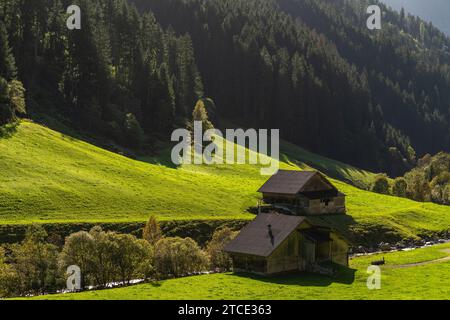 Villaggio rurale con fattorie alpine, comune di Brandberg, Valle Zillergrund, Alpi dello Zillertal, Tirolo, Austria Foto Stock