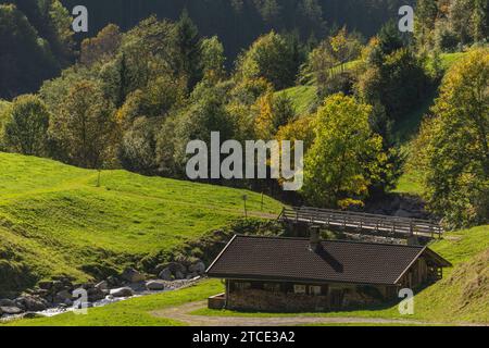 Villaggio rurale con fattorie alpine, comune di Brandberg, Valle Zillergrund, Alpi dello Zillertal, Tirolo, Austria Foto Stock