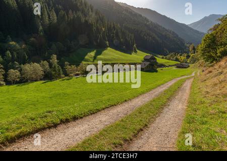 Villaggio rurale con fattorie alpine, comune di Brandberg, Valle Zillergrund, Alpi dello Zillertal, Tirolo, Austria Foto Stock