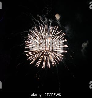 Foto di veri fuochi d'artificio a forma di cerchio con tracciati di fumo su sfondo cielo nero per la modalità di sovrapposizione Foto Stock