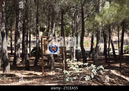 Tavola di legno con bersaglio di tiro con l'arco di carta circondata da alberi nel parco avventura Parco avventura Erice Foto Stock