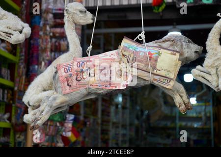 Llama e feto di maiale essiccati confezionati in banconote in vendita al mercato delle streghe. Sepolto sotto nuovi edifici per buona fortuna. La Paz, Bolivia. Foto Stock