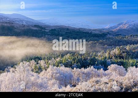 Vista invernale di Glen Affric Cannich Scotland sulla foresta di pini di Caledonia con nebbia e brina sugli alberi di betulla Foto Stock