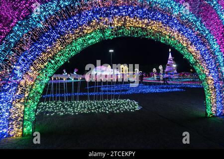 CHIANG mai, THAILANDIA - 12 dicembre 2023: Veduta del giardino fiorito con una bella illuminazione durante il festival di Capodanno presso l'affascinante Chiang mai Flo Foto Stock