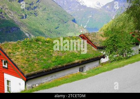 Rifugio in legno con tetto in erba a Geiranger nella regione di Sunnmøre Møre og Romsdal, Norvegia (Geirangerfjord è un sito patrimonio dell'umanità dell'UNESCO) Foto Stock