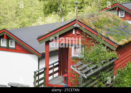 Rifugio in legno con tetto in erba a Geiranger nella regione di Sunnmøre Møre og Romsdal, Norvegia (Geirangerfjord è un sito patrimonio dell'umanità dell'UNESCO) Foto Stock