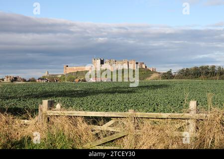 Il castello di Bamburgh, Northumberland, England, Regno Unito Foto Stock