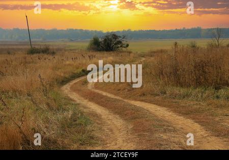 Strada rurale che attraversa prati erbosi sullo sfondo del cielo Foto Stock