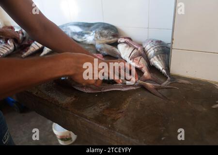 Le mani di un uomo si vedono tagliare e disossare un pesce fresco in un mercato improvvisato in riva al mare. Più pesci sullo sfondo Foto Stock