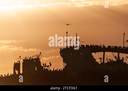 Silhoutte della SS Palo Alto vicino al tramonto, un vecchio naufragio della seconda guerra mondiale al largo della costa di Aptos, California Foto Stock