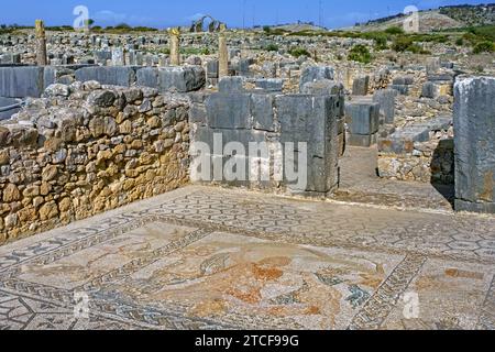 Mosaico romano che mostra il rapimento di Hylas nella Casa di Venere a Volubilis, città berbero-romana dall'antica Mauretania vicino a Meknes, Fez-Meknes, Marocco Foto Stock