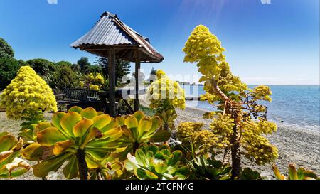 Un bar esterno con sgabelli a tronco d'albero e tetto in ferro ondulato sul lungomare di Motueka, il Motueka Sandspit sullo sfondo, isola sud, Tasman Foto Stock