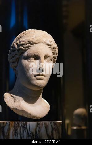 Hygieia : Capo della Dea greca Hygieia, 2 d.C., copia romana di un originale greco. Foto Stock