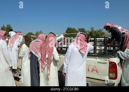 Commercianti di bestiame ad un'asta stradale in Arabia Saudita Foto Stock