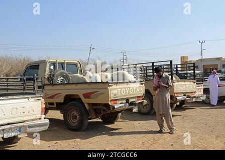 Commercianti di bestiame ad un'asta stradale in Arabia Saudita Foto Stock